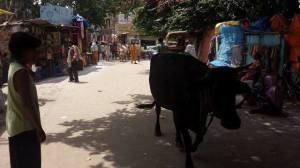 Strolling around Varanasi Photo by:VK