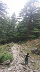 Off to the forest of Dharamkot